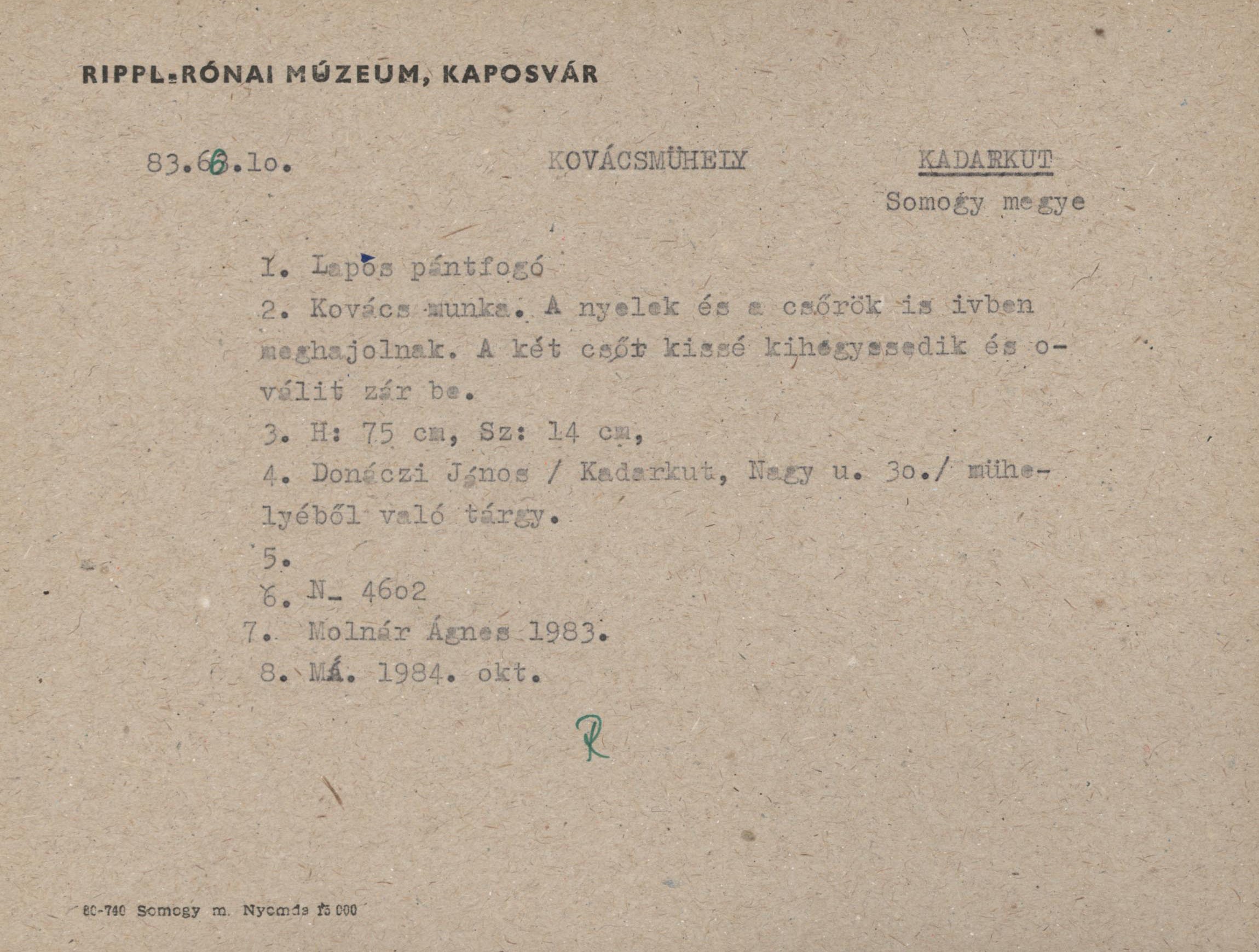 Lapos-pánt fogó (Rippl-Rónai Múzeum CC BY-NC-ND)