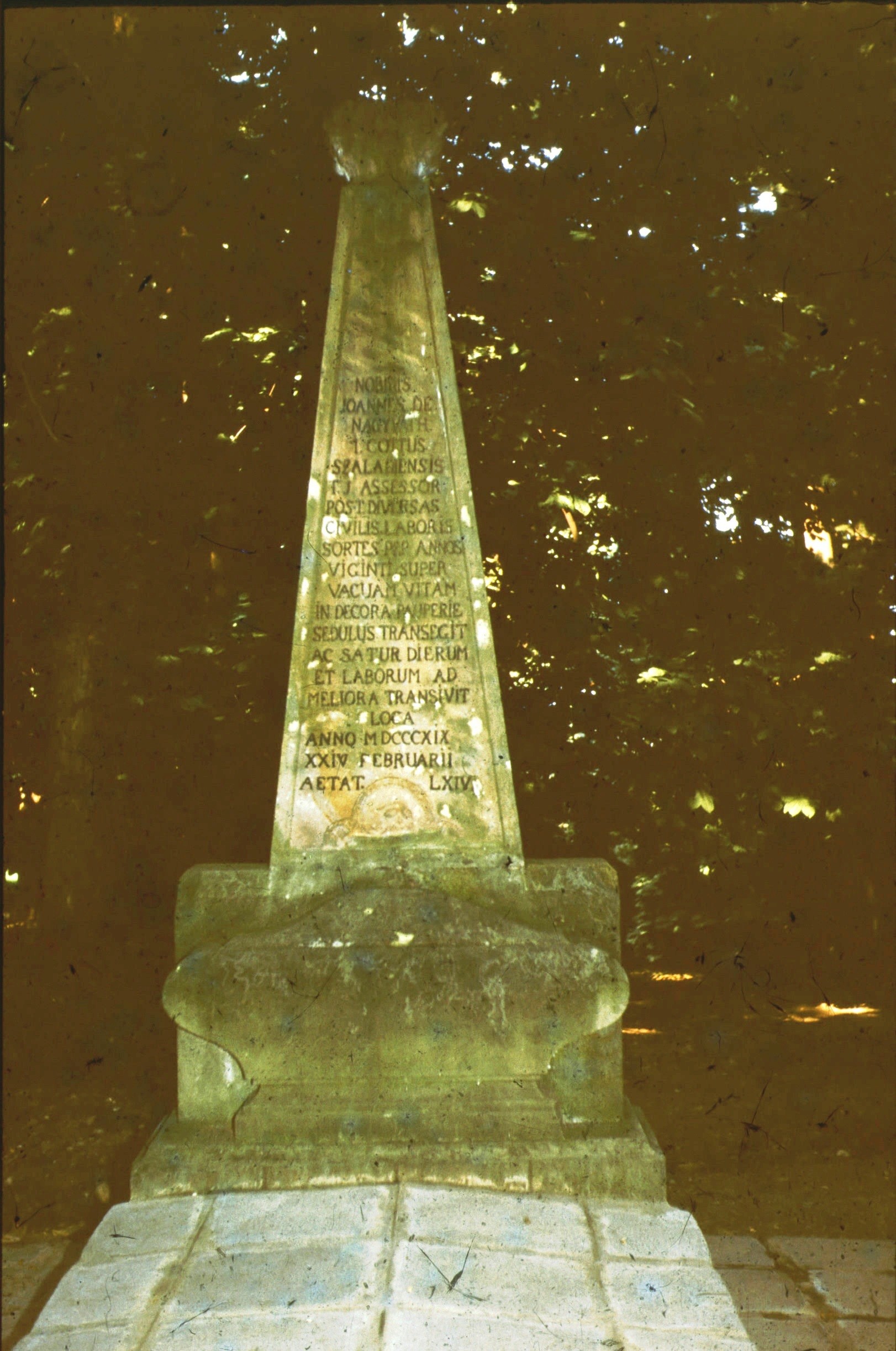 Nagyváthy János síremléke (Rippl-Rónai Múzeum CC BY-NC-ND)