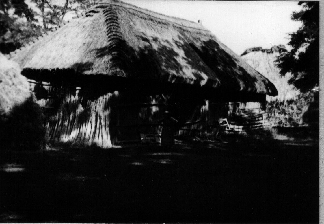 Négyfiókos gabonás pajta a szürün, háznál (Rippl-Rónai Múzeum CC BY-NC-ND)