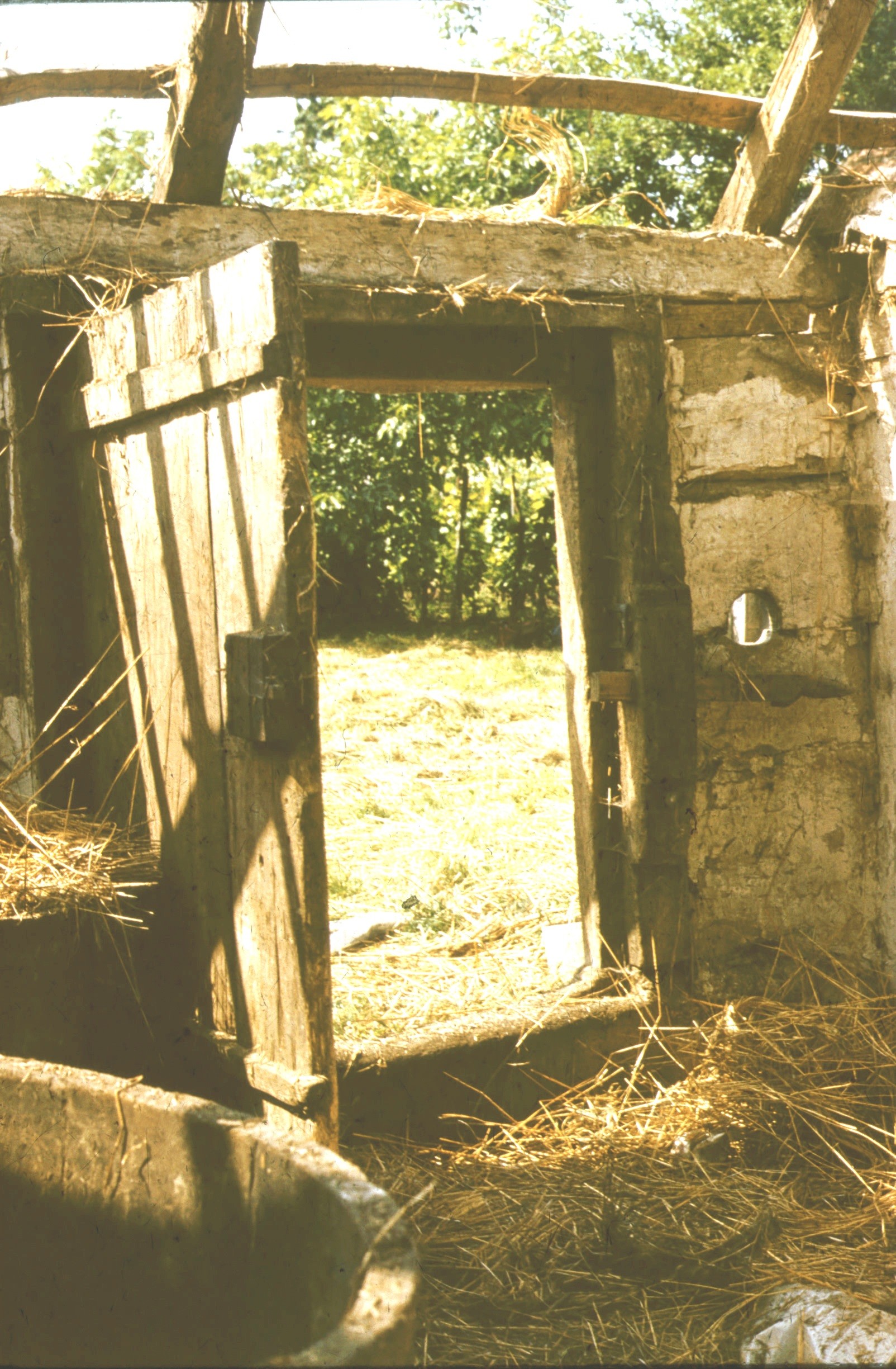 Présház bontása, a "külső pince" ajtaja (Rippl-Rónai Múzeum CC BY-NC-ND)