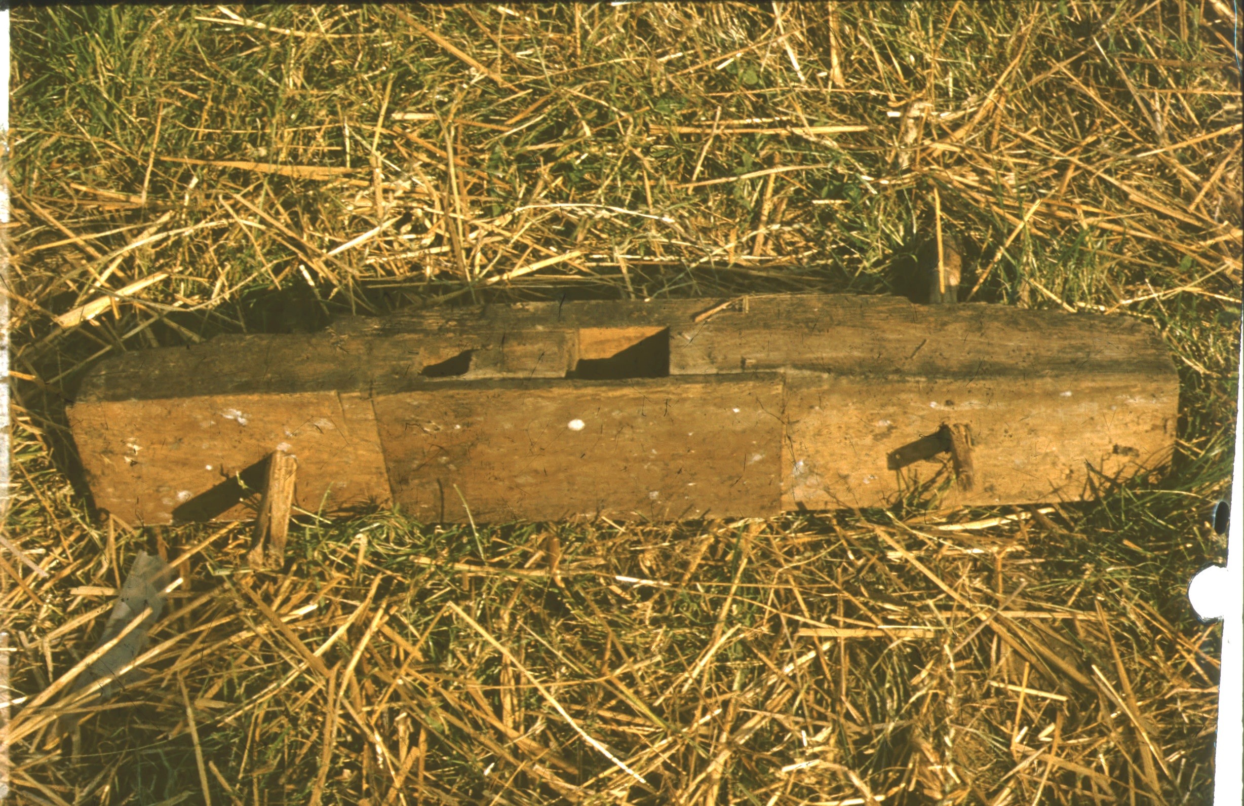 Présház bontása, a "külső pince" ajtajának fazára (Rippl-Rónai Múzeum CC BY-NC-ND)