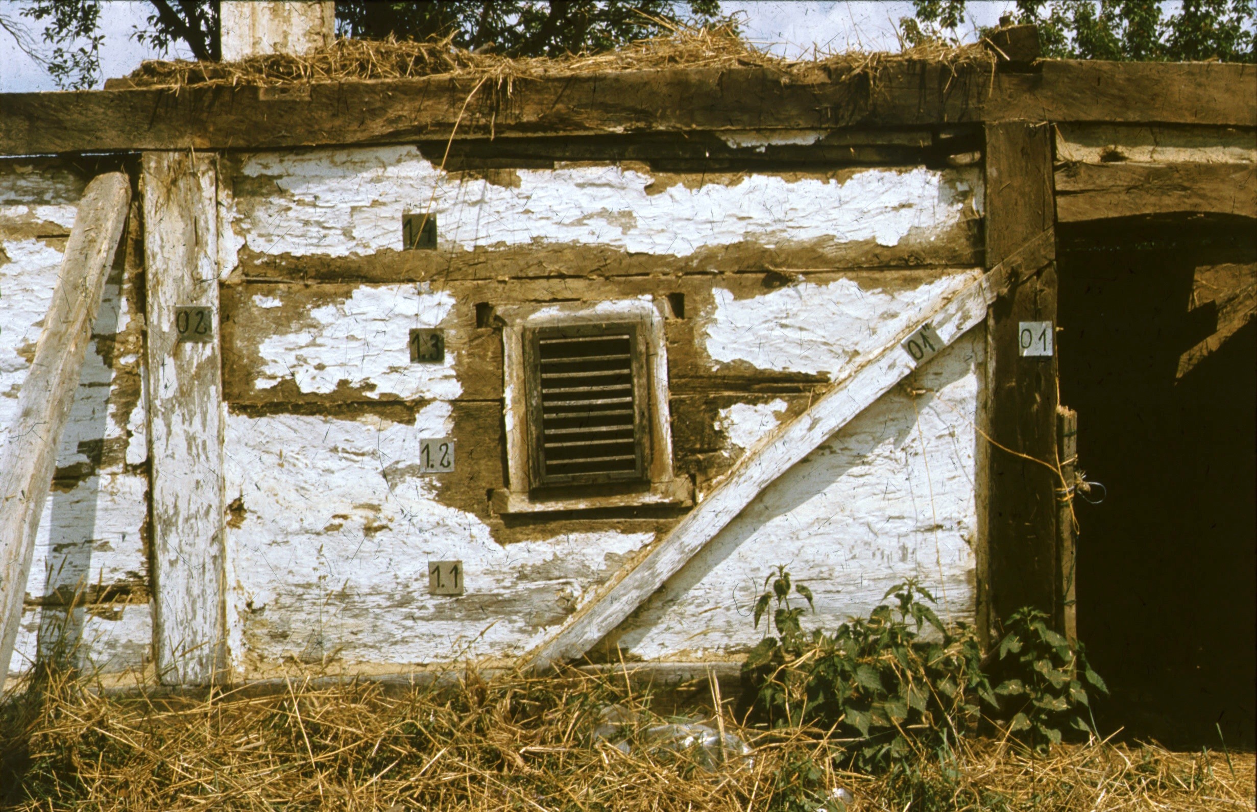 Présház bontása, a "szoba" D-i fala (Rippl-Rónai Múzeum CC BY-NC-ND)