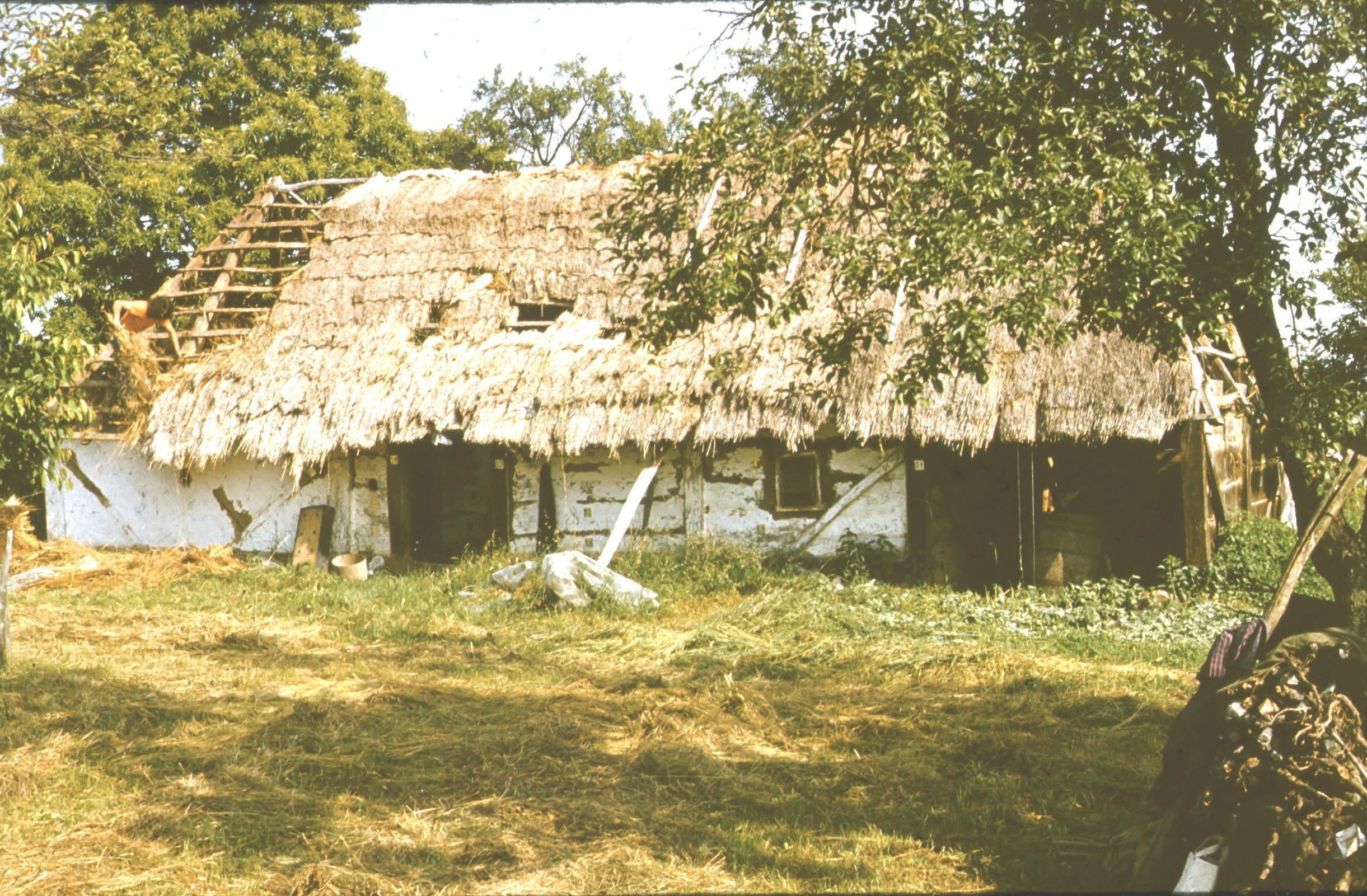 Présház bontása, látkép D-ről (Rippl-Rónai Múzeum CC BY-NC-ND)