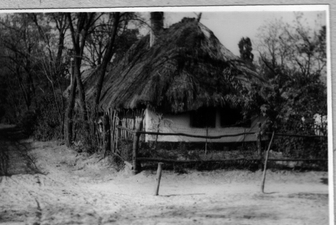 Sátortetős, zsuppfedésű lakóház (Rippl-Rónai Múzeum CC BY-NC-ND)