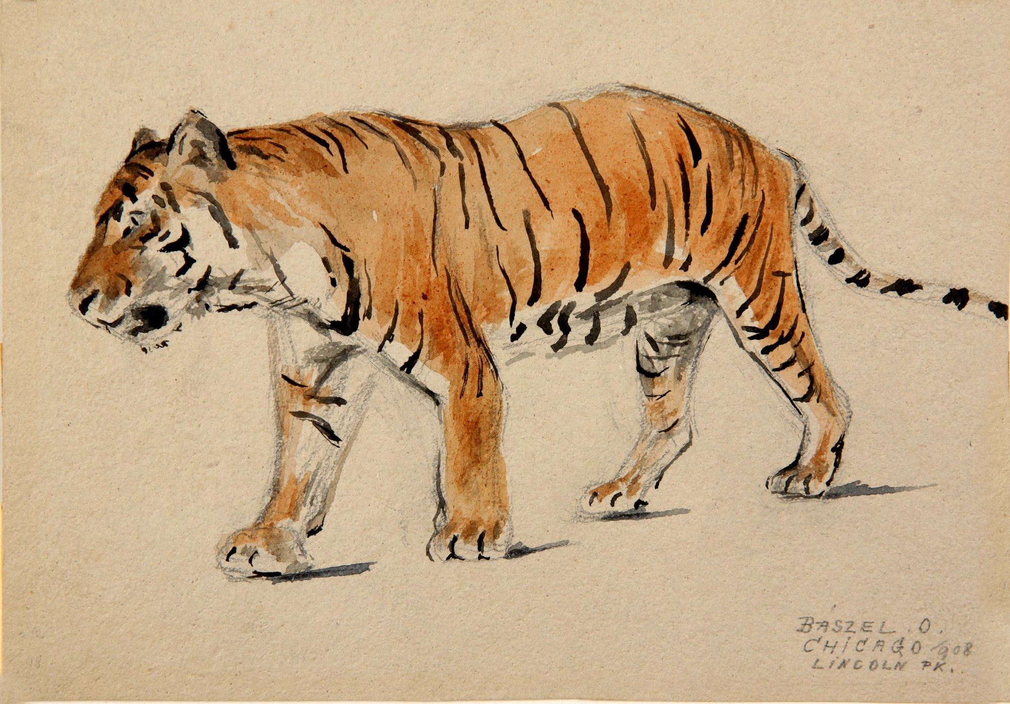 Tigris (Rippl-Rónai Múzeum CC BY-NC-SA)