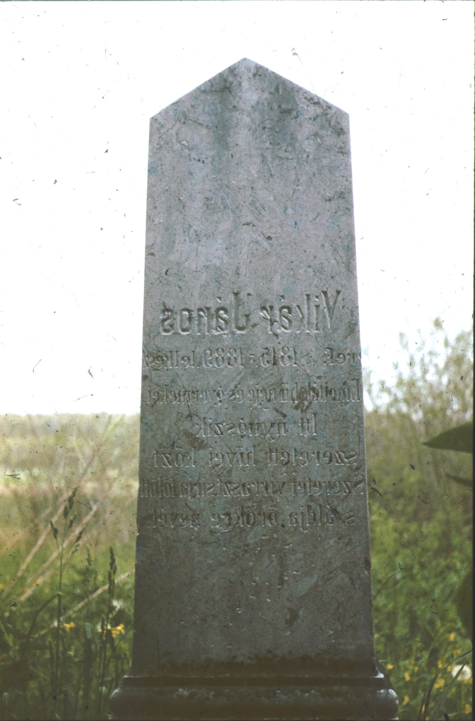 Vikár János lelkész síremléke (1815-1889) (Rippl-Rónai Múzeum CC BY-NC-ND)