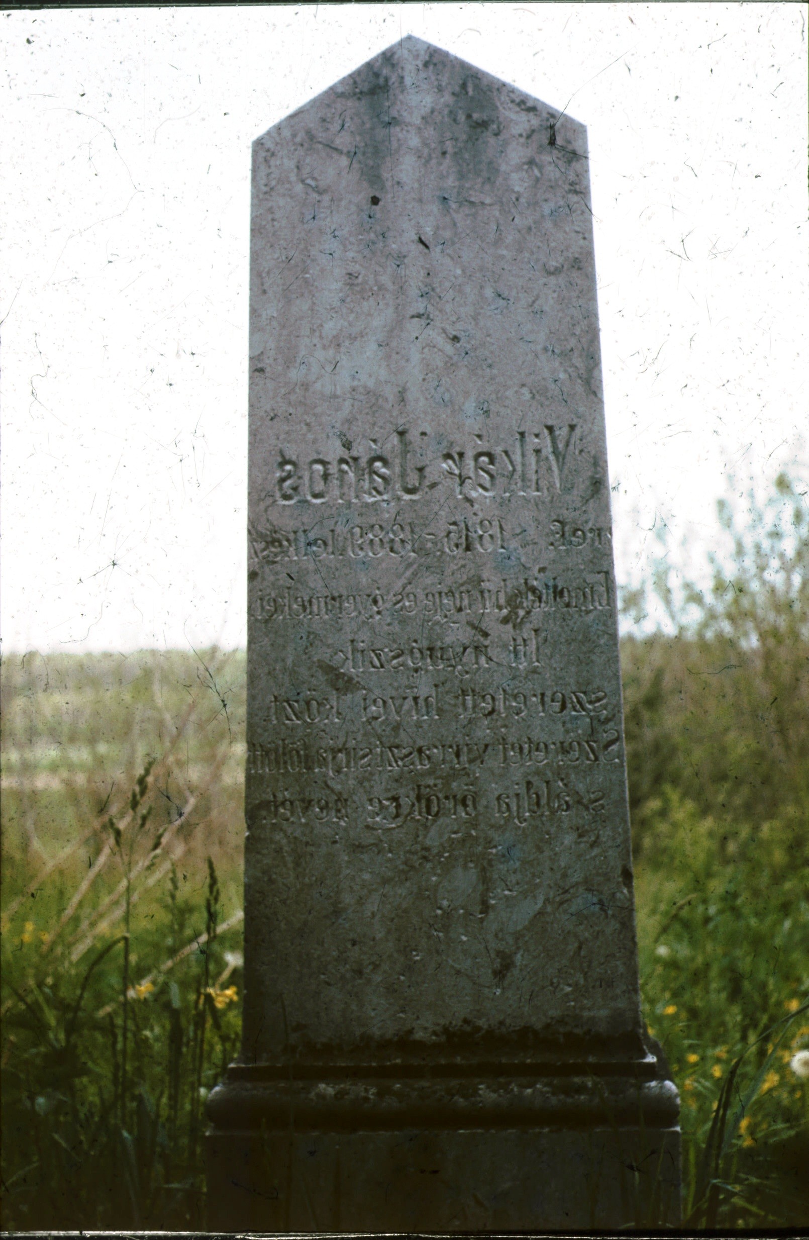 Vikár János lelkész síremléke (1815-1889) (Rippl-Rónai Múzeum CC BY-NC-ND)