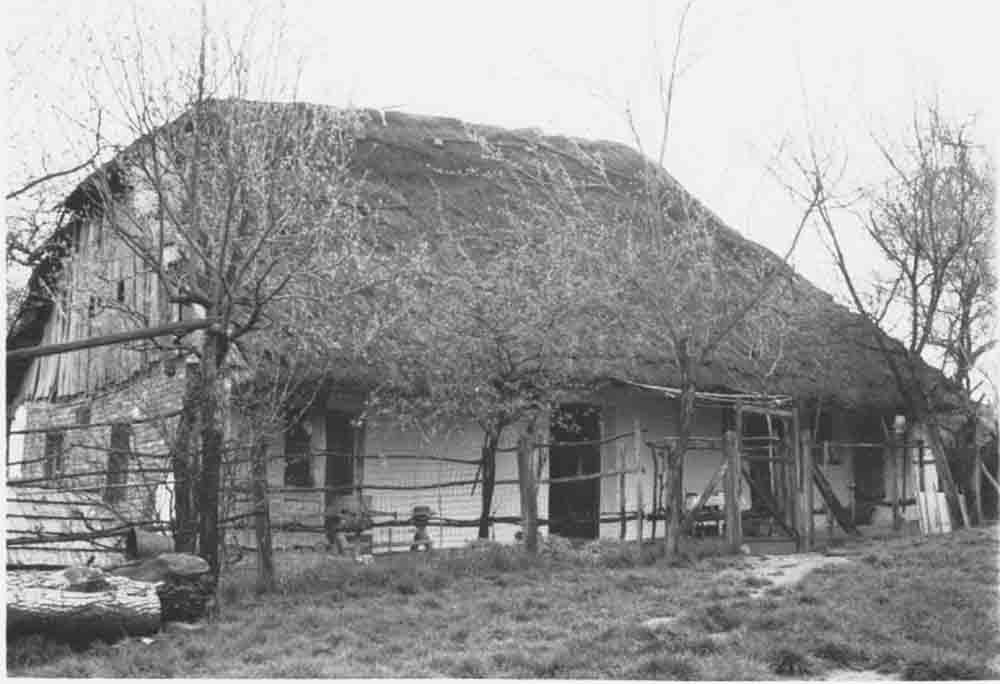 Özv. Németh Józsefné lakóháza eredeti jobbágykori helyén (Rippl-Rónai Múzeum CC BY-NC-ND)