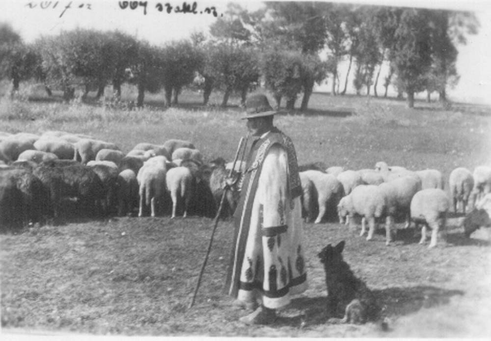 Bugaci pásztor (Rippl-Rónai Múzeum CC BY-NC-ND)