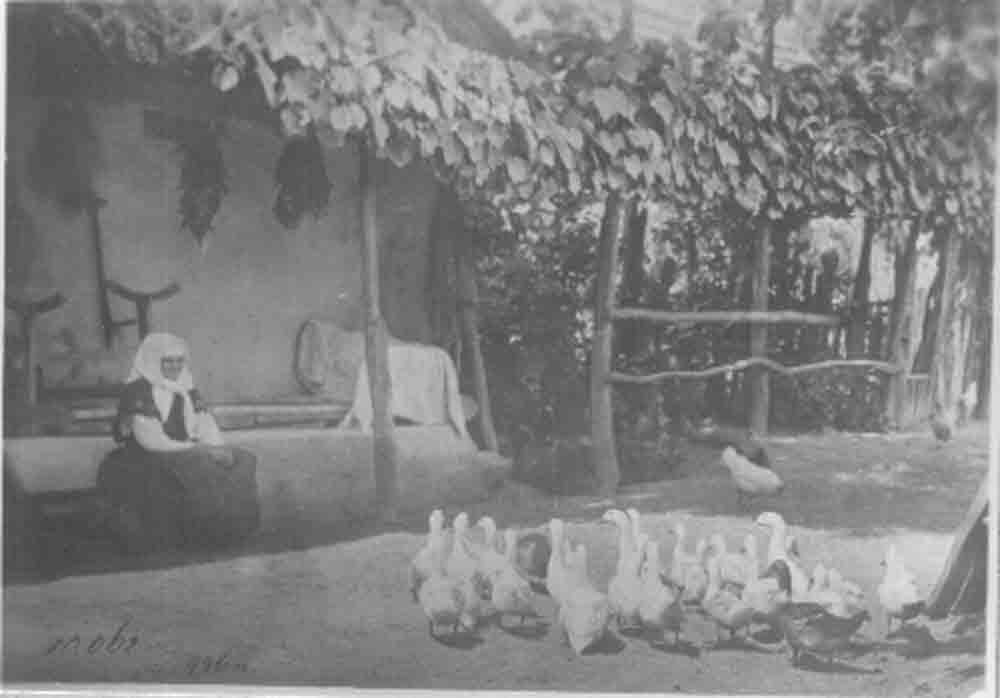 Csökölyi ház zsuppos szárfákkal (Rippl-Rónai Múzeum CC BY-NC-ND)