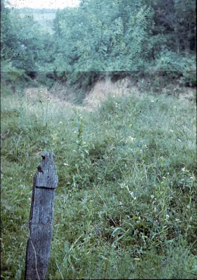 Fejfa a szennai temetőben (Rippl-Rónai Múzeum CC BY-NC-ND)