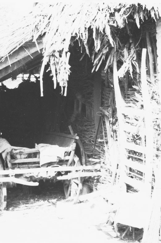 Fészer, pajtaoldal, szekér Kass Vince szegényparaszt telkén (Rippl-Rónai Múzeum CC BY-NC-ND)