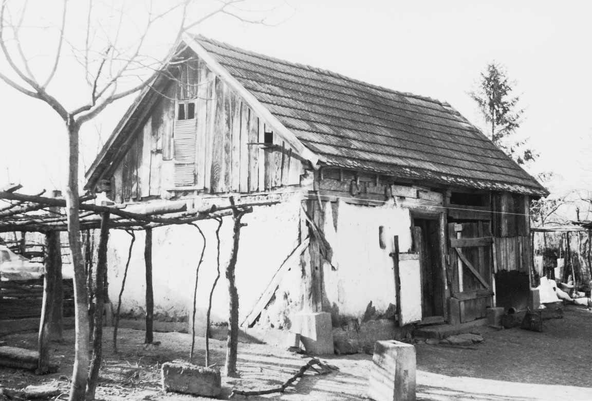 Istálló és pajta özvegy Bakó Józsefné telkén (Rippl-Rónai Múzeum CC BY-NC-ND)