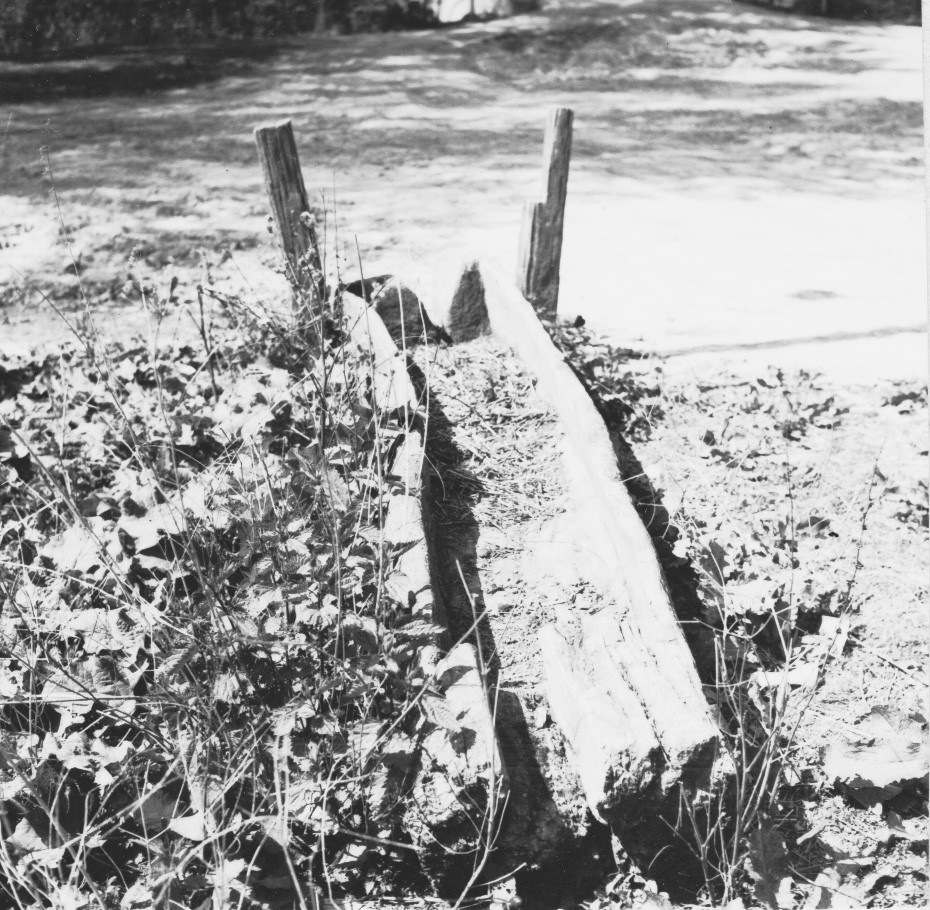 Itatóvályú egy fából (Rippl-Rónai Múzeum CC BY-NC-ND)