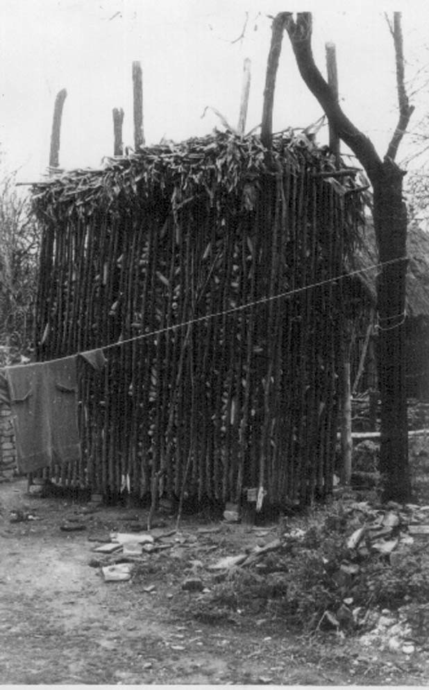 Kukorica góré (Rippl-Rónai Múzeum CC BY-NC-ND)