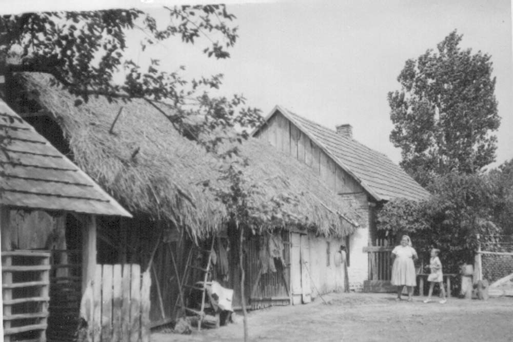 Lakóház, istálló, pajta, disznóól (Rippl-Rónai Múzeum CC BY-NC-ND)