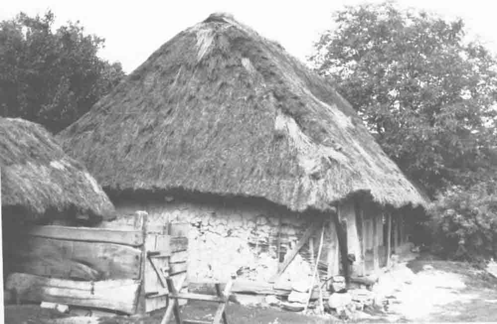Lakóház két udvari homlokzata, mellette zsuppos, keményfa pallókból levő hidas (Rippl-Rónai Múzeum CC BY-NC-ND)