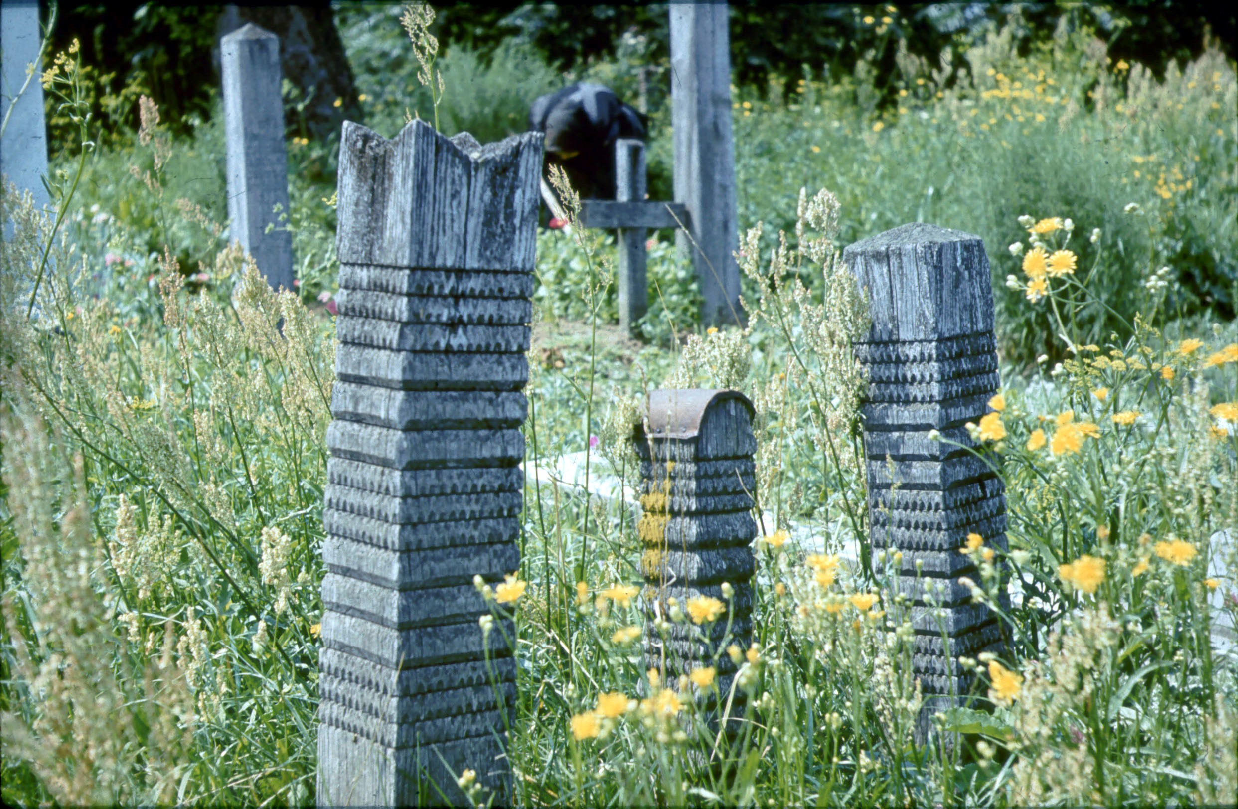 Nagybajomi református temető (Rippl-Rónai Múzeum CC BY-NC-ND)