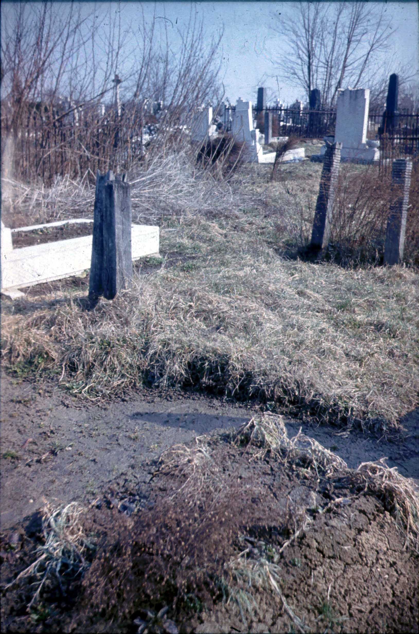 Nagybajomi temetőrészlet, faragott fejfák (Rippl-Rónai Múzeum CC BY-NC-ND)