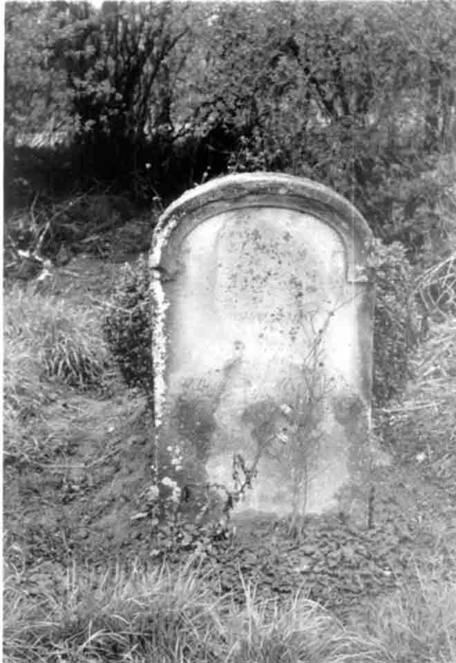Régi temető részlete (Rippl-Rónai Múzeum CC BY-NC-ND)