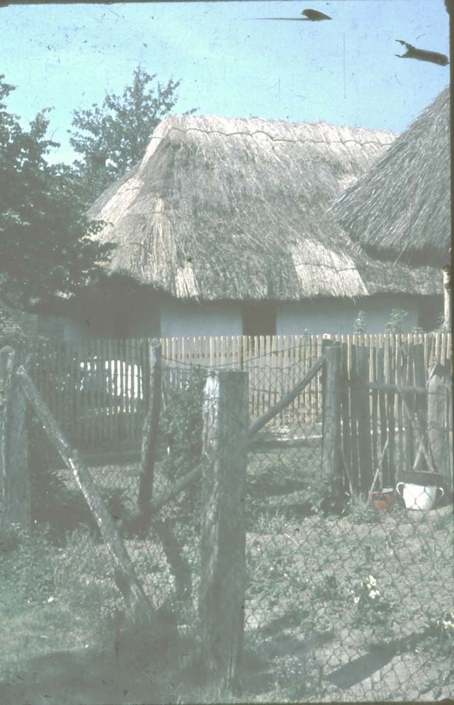 Tamás Erzsébet zsuppos háza (Rippl-Rónai Múzeum CC BY-NC-ND)