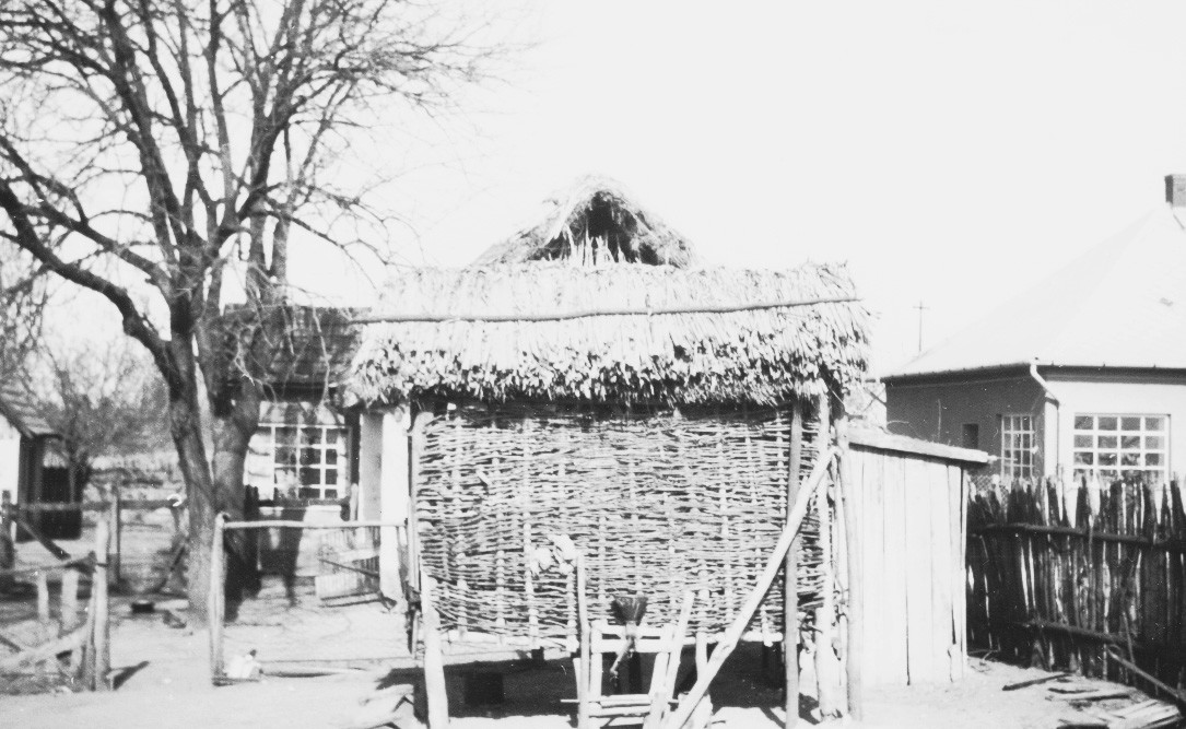 Tengeri góré (Rippl-Rónai Múzeum CC BY-NC-ND)