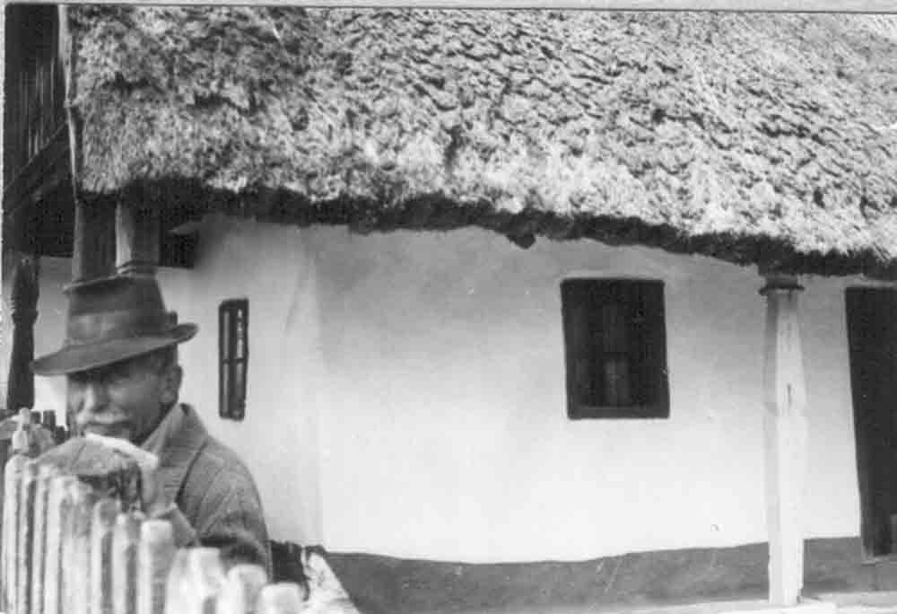 Zsuppos ház részlete a gazdával, Nagy Jánossal (Rippl-Rónai Múzeum CC BY-NC-ND)