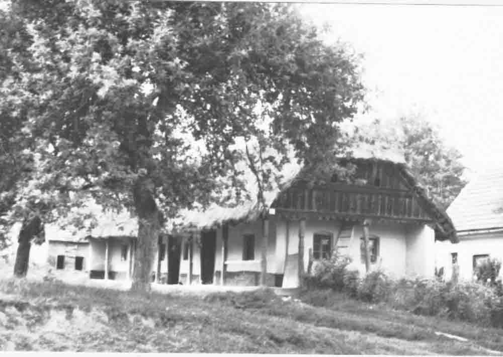 Zsuppos-talpas-sövényfalas háromosztatú lakóház (Rippl-Rónai Múzeum CC BY-NC-ND)