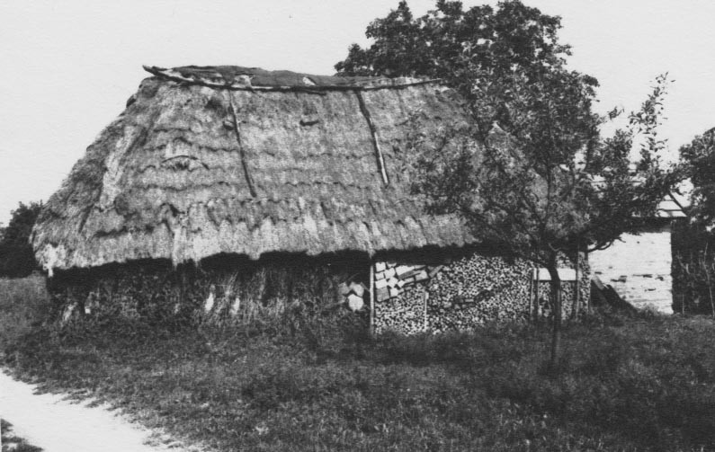 30.sz. pince nézete Ny - ról. Falai mellett szőlővessző kötegek és tűzifa (Rippl-Rónai Múzeum CC BY-NC-ND)