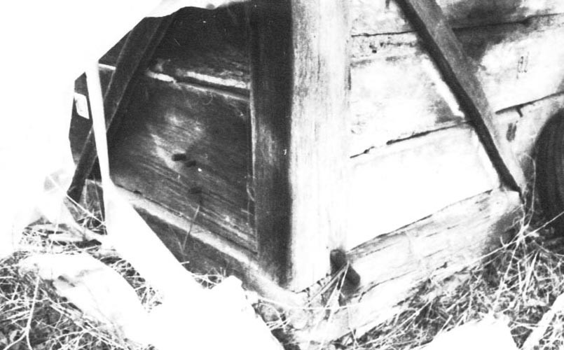 Az istálló ÉK - i sarka, részlet (Rippl-Rónai Múzeum CC BY-NC-ND)