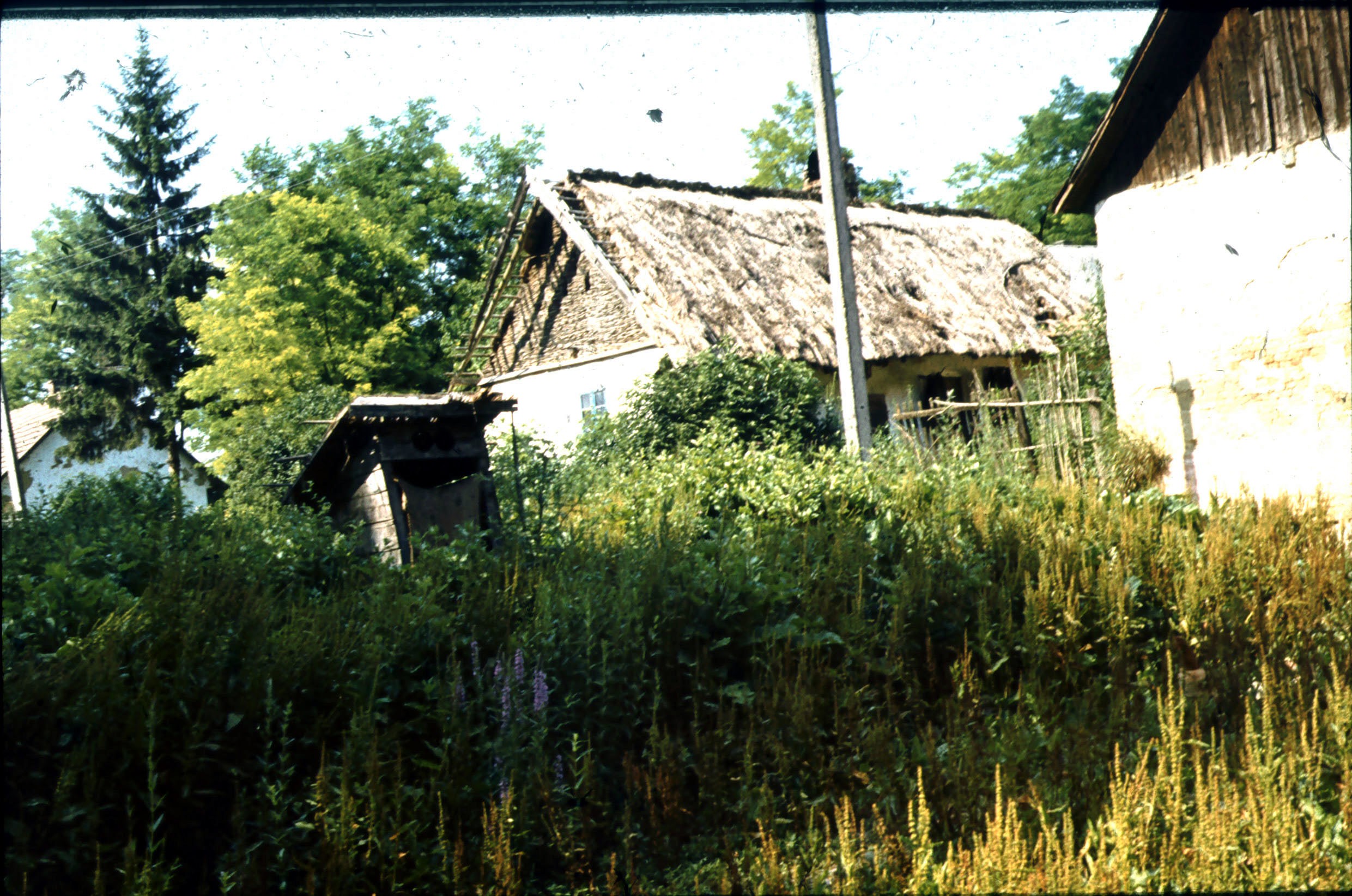 Bábony, Tobányi részlet, Mészöly István házával (Rippl-Rónai Múzeum CC BY-NC-ND)