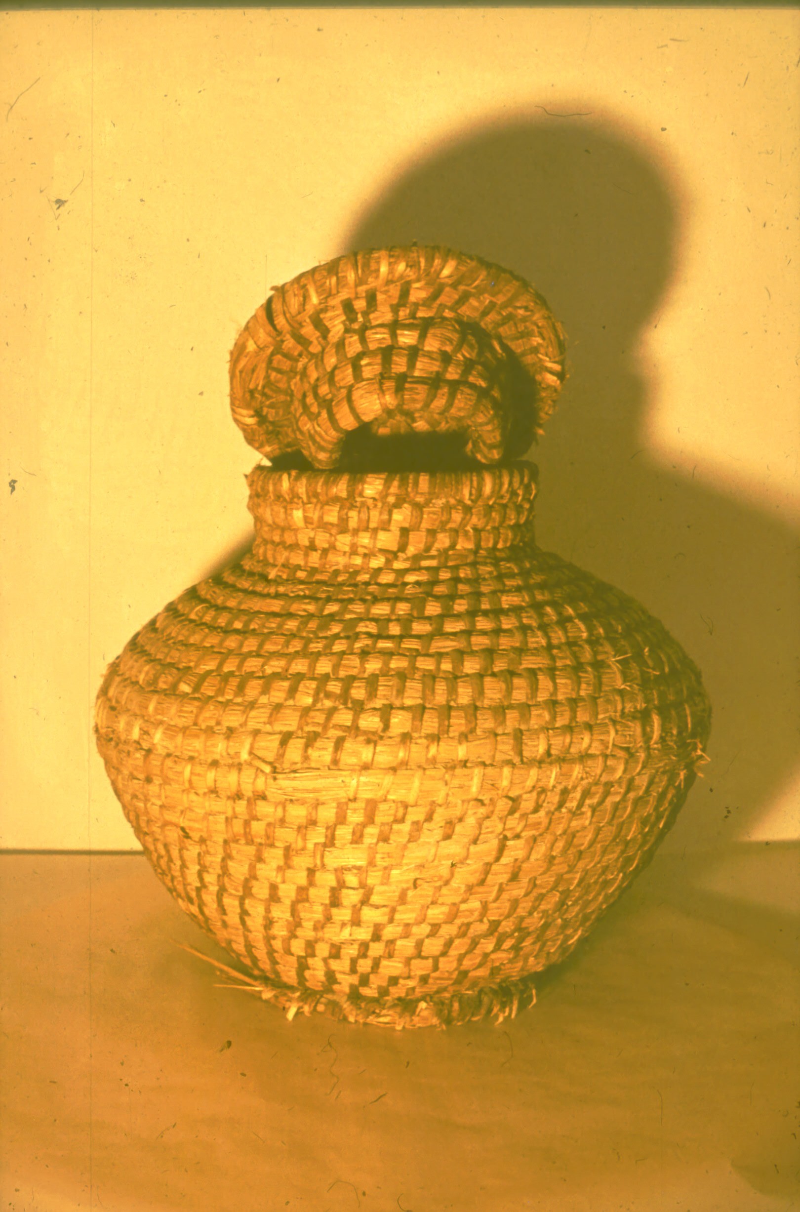 Bucsér (Rippl-Rónai Múzeum CC BY-NC-ND)