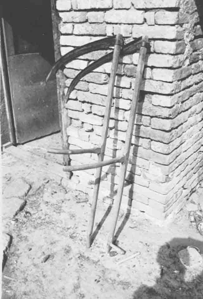 Kasza (Rippl-Rónai Múzeum CC BY-NC-ND)