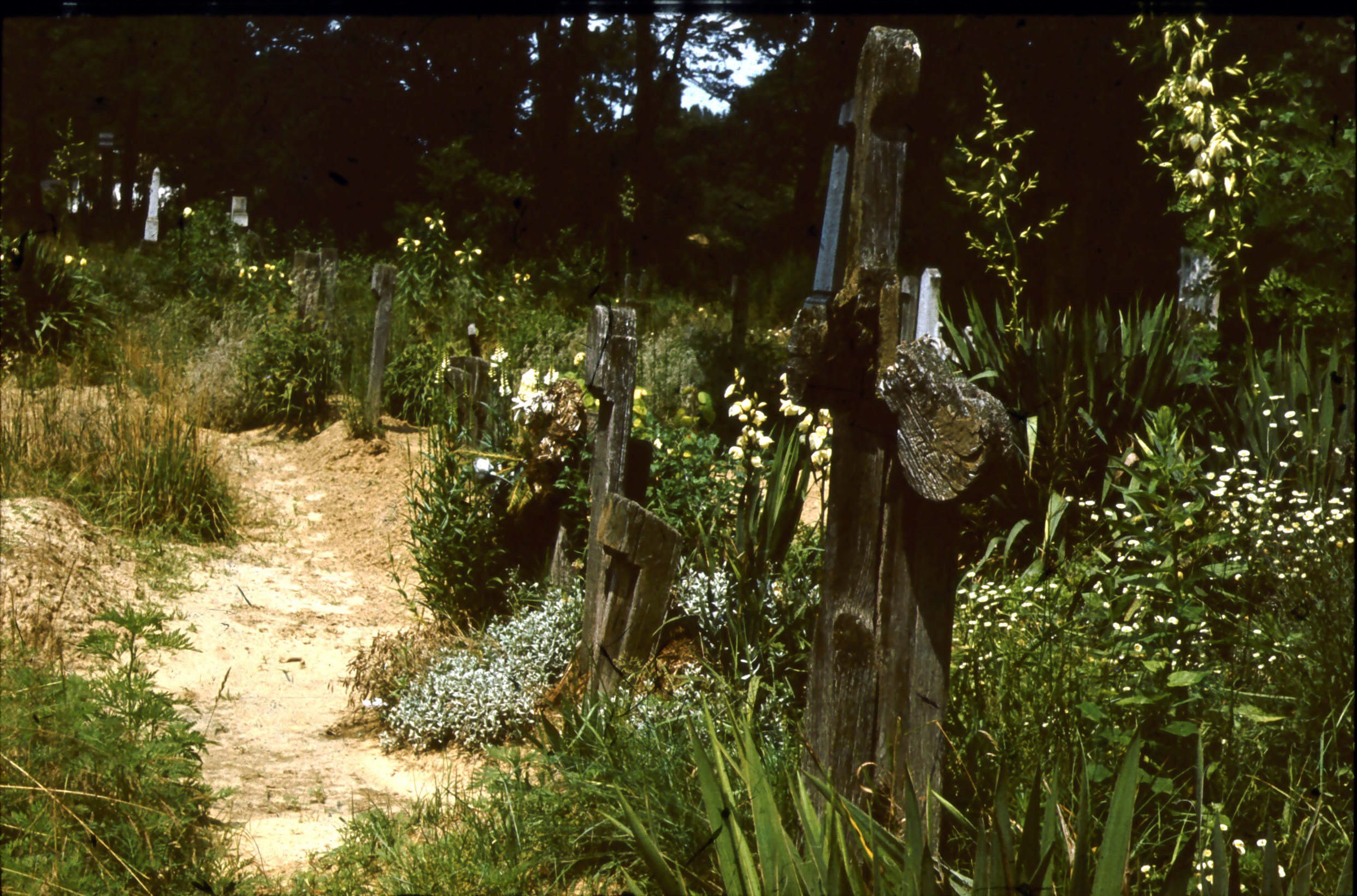 Kisbajomi régi temető református fejfái (Rippl-Rónai Múzeum CC BY-NC-ND)