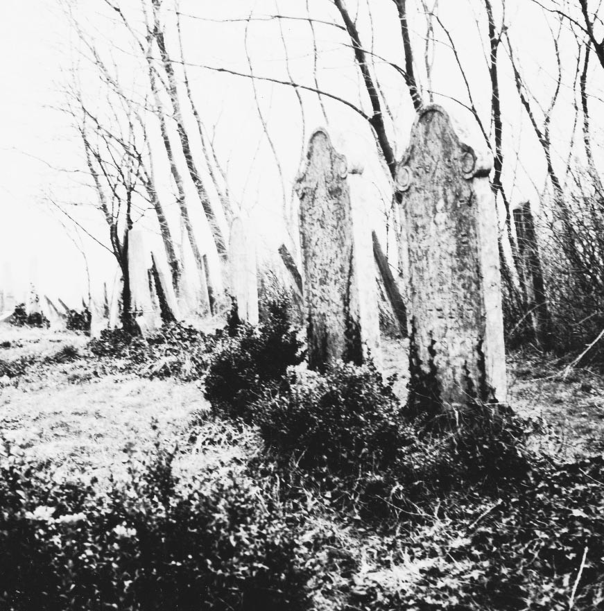 Zsidó temető (Rippl-Rónai Múzeum CC BY-NC-ND)