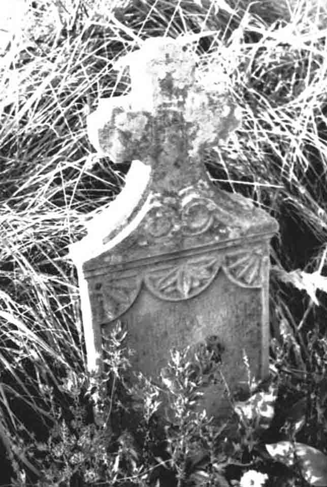 Alsó temető a falutól nyugatra (Rippl-Rónai Múzeum CC BY-NC-ND)