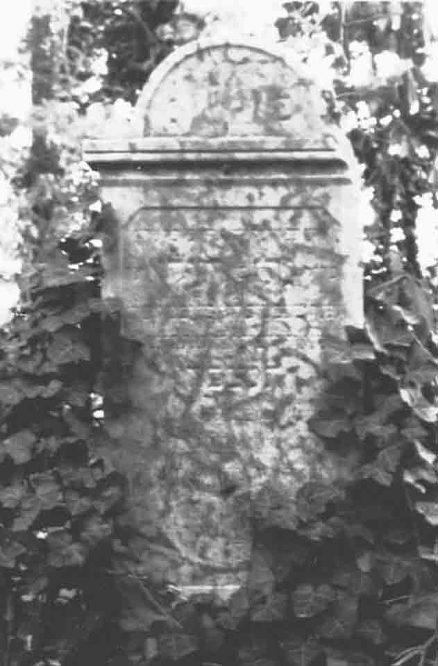 Volt zsidó temető (Rippl-Rónai Múzeum CC BY-NC-ND)