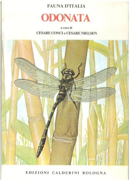 Cesare Conci, Cesare Nielsen: Fauna d'Italia vol. I. - Odonata (Rippl-Rónai Múzeum CC BY-NC-ND)
