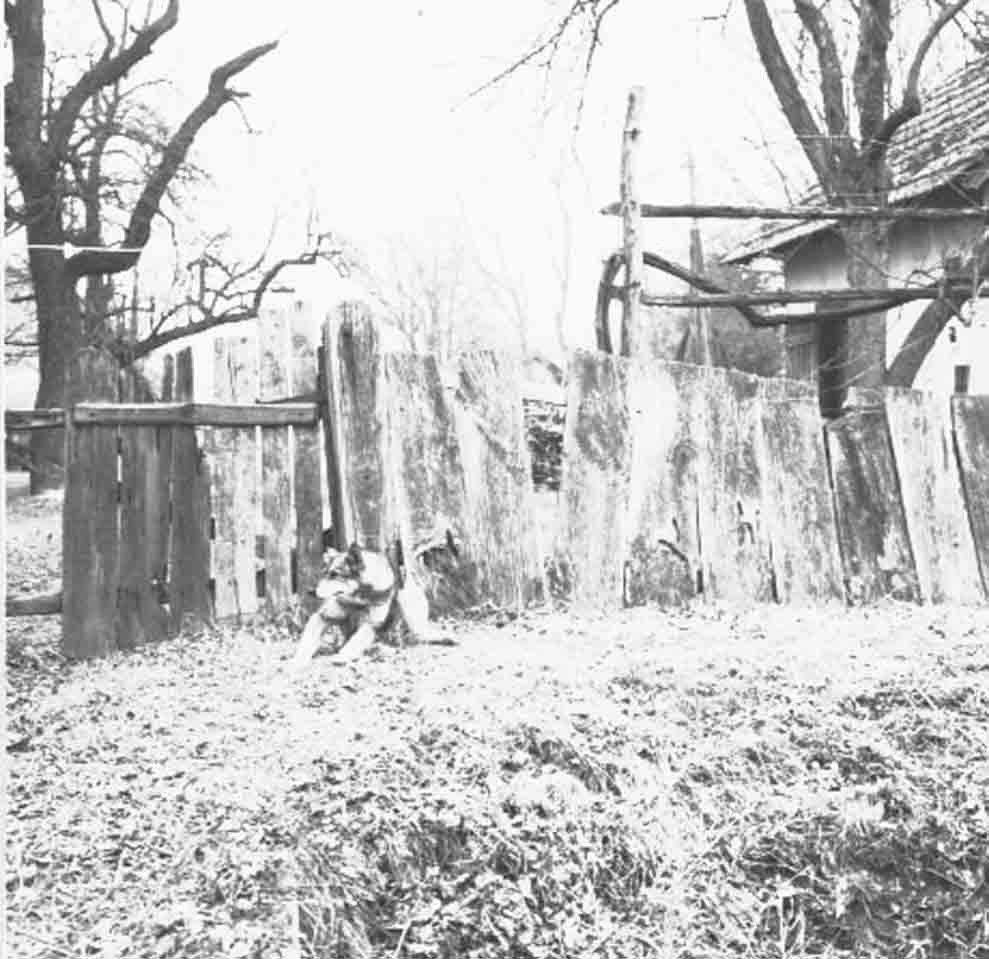 Régi kerítés (Rippl-Rónai Múzeum CC BY-NC-ND)