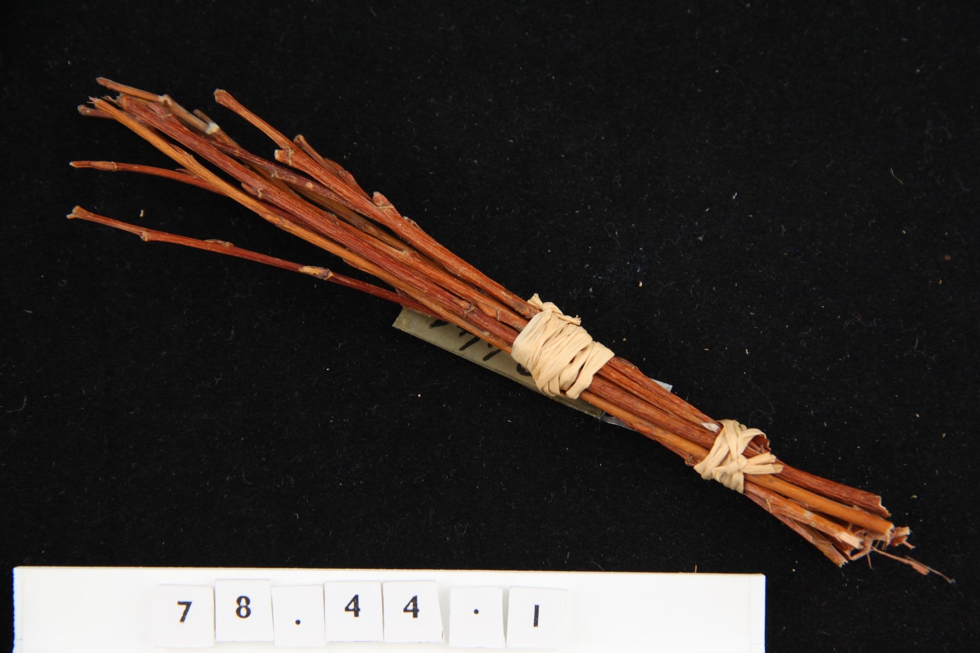 Seprű (Rippl-Rónai Múzeum CC BY-NC-SA)