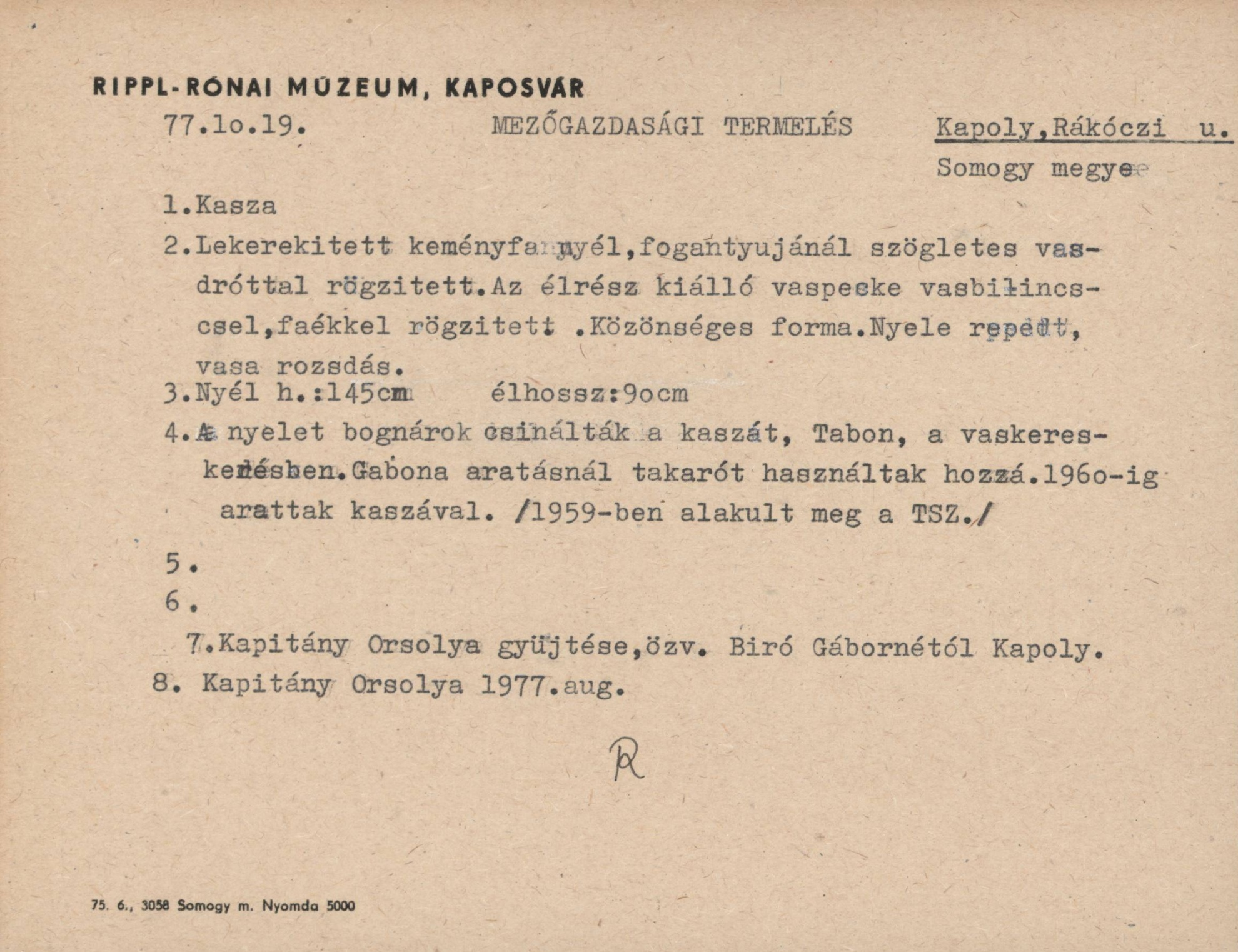 Kasza (Rippl-Rónai Múzeum CC BY-NC-SA)