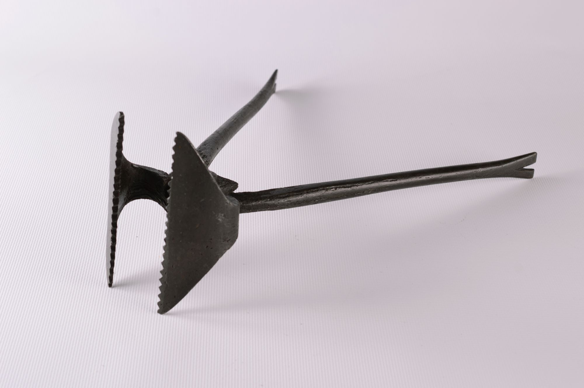 Csikópata-csipővas (Rippl-Rónai Múzeum CC BY-NC-SA)