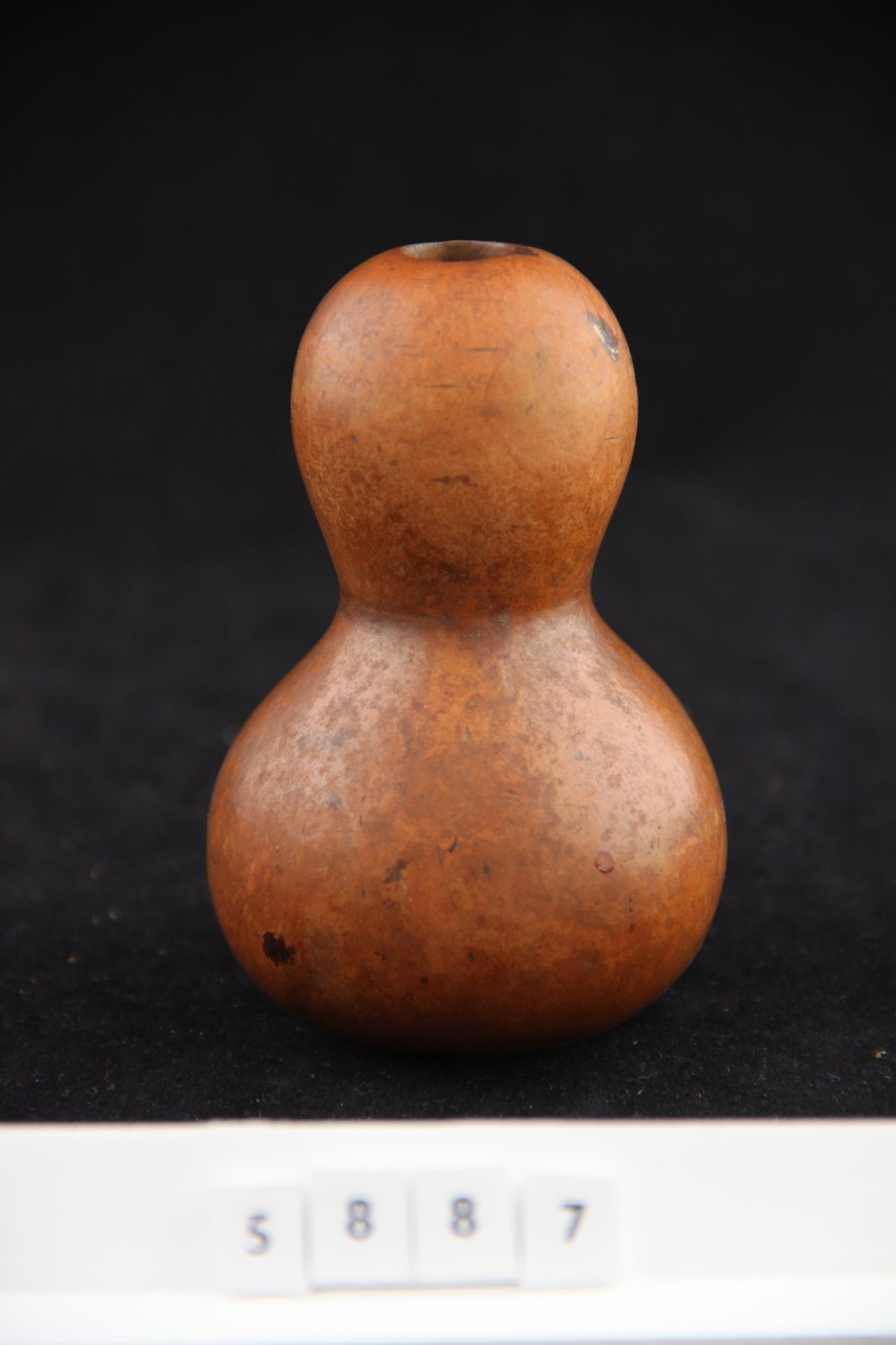 Kis díszkobak (Rippl-Rónai Múzeum CC BY-NC-SA)