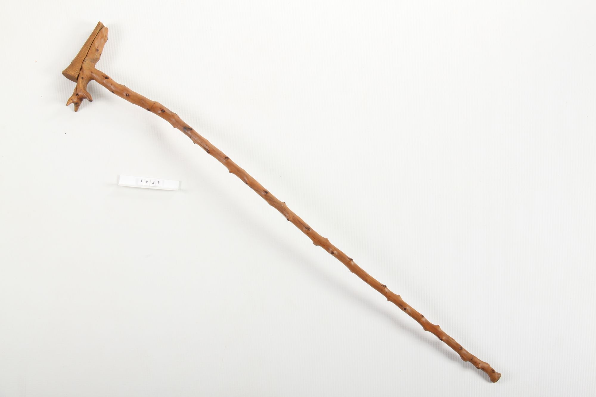 Sétabot (Rippl-Rónai Múzeum CC BY-NC-SA)