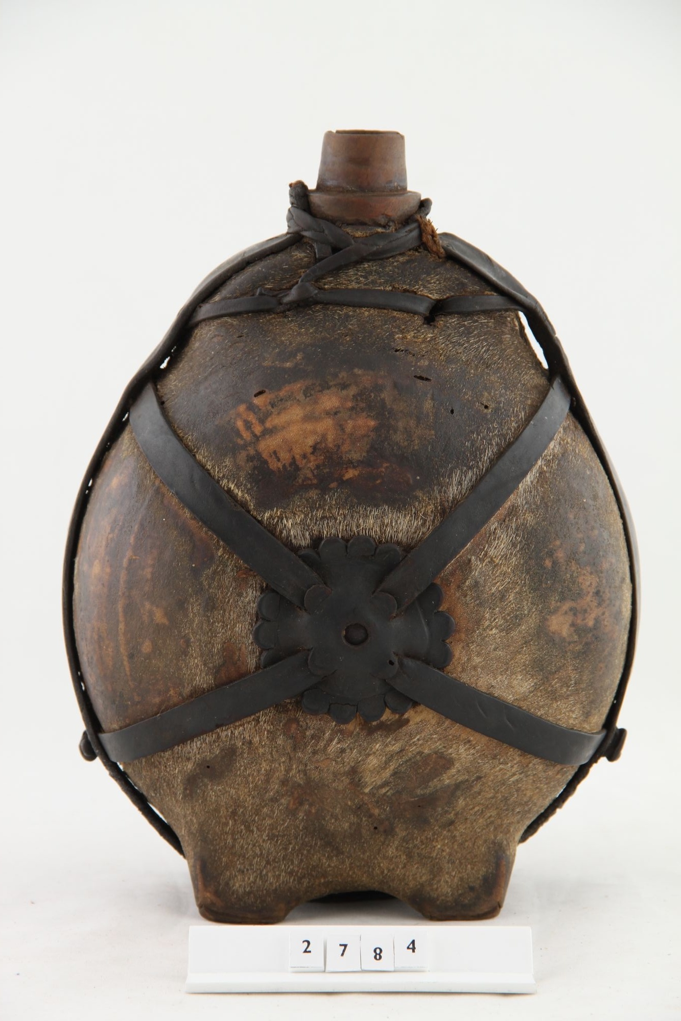 Szőrös csutora (Rippl-Rónai Múzeum CC BY-NC-SA)