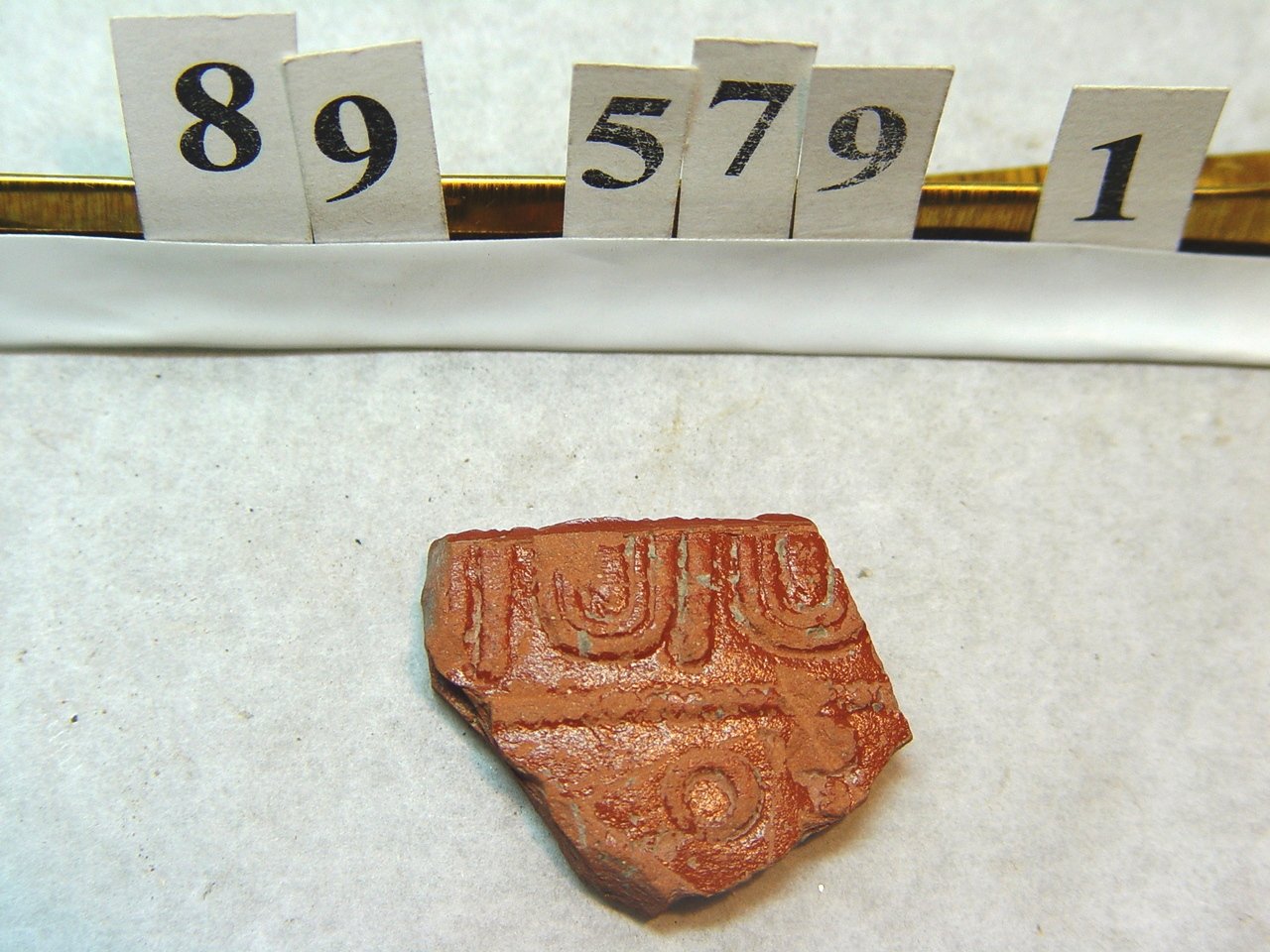 Terra sigillata töredék (fotó). (Paksi Városi Múzeum - Paksi Képtár CC BY-NC-SA)