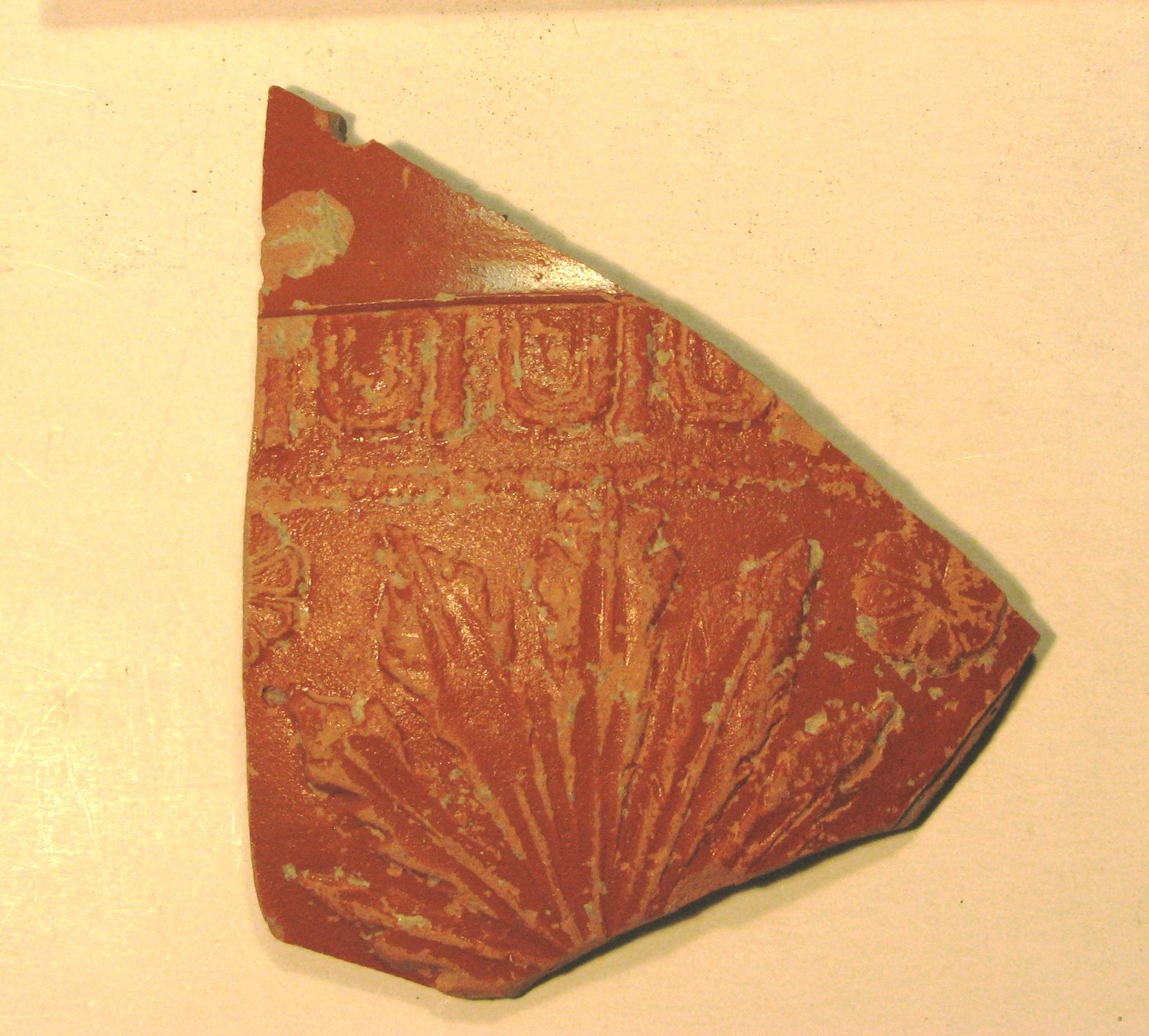 Terra sigillata töredék PVM.R.97.29.79. (fotó) (Paksi Városi Múzeum - Paksi Képtár CC BY-NC-SA)