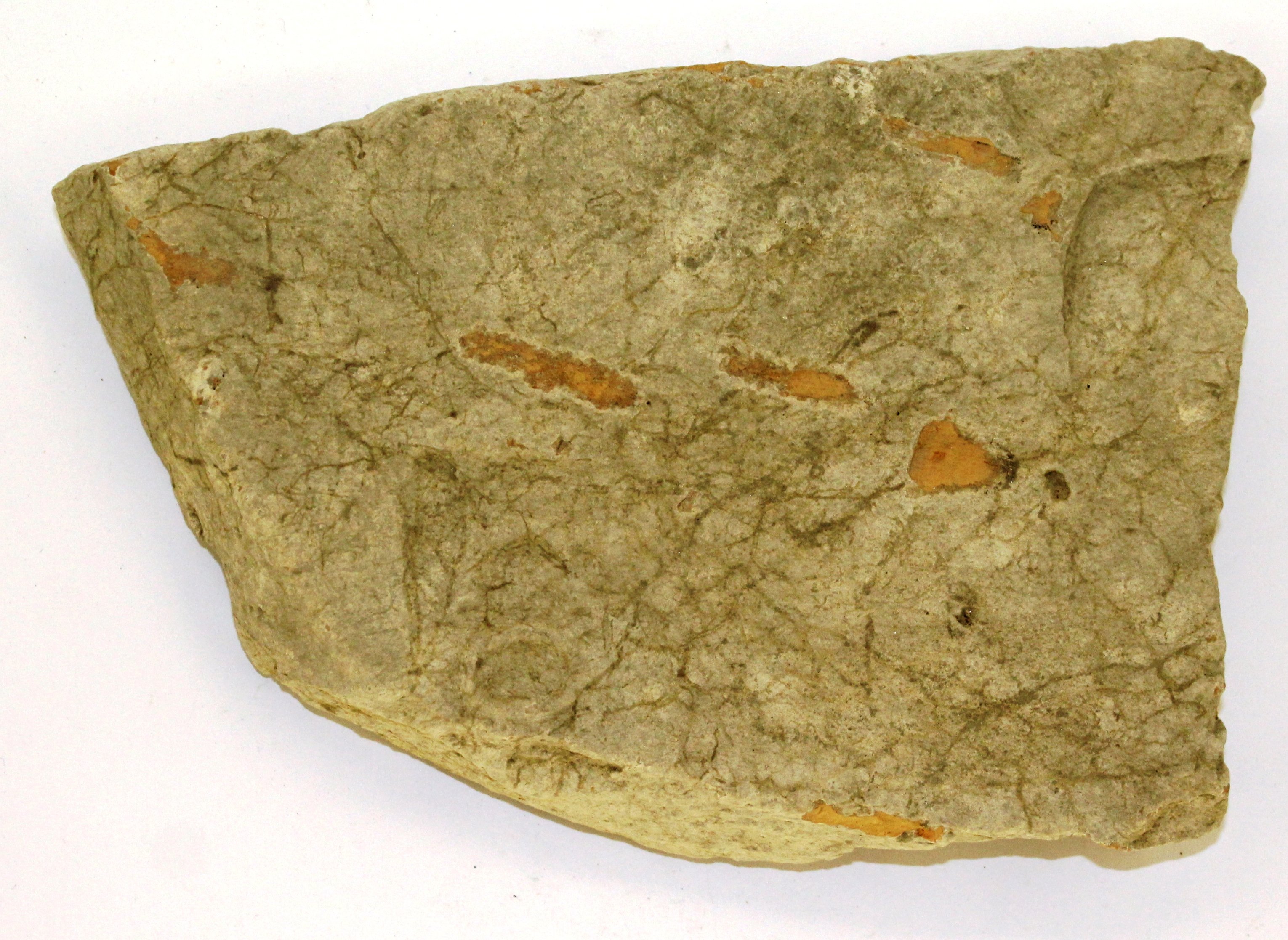 Bélyeges tégla töredéke. PVM.R. 89.269.1. (fotó) (Paksi Városi Múzeum - Paksi Képtár CC BY-NC-SA)