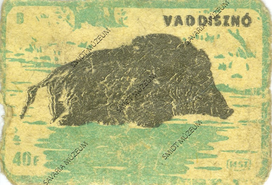 Gyufacímke, Erdei állatok, Vaddisznó (Smidt Múzeum, Szombathely CC BY-NC-SA)