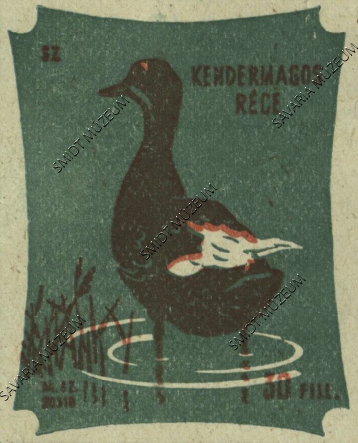 Gyufacímke, Vízimadarak, Kendermagos réce (Smidt Múzeum, Szombathely CC BY-NC-SA)